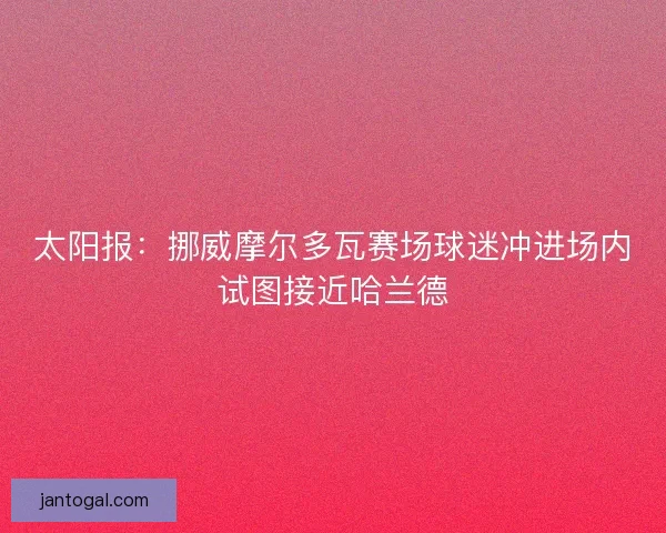 太阳报：挪威摩尔多瓦赛场球迷冲进场内试图接近哈兰德